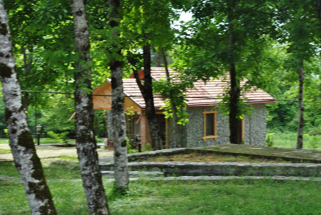 Talistan Forest Park Hotel Exterior photo